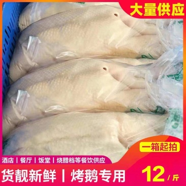冻鹅冷冻白条鹅批发商用大鹅新鲜速冻光鹅一整箱烧鹅专用鹅肉