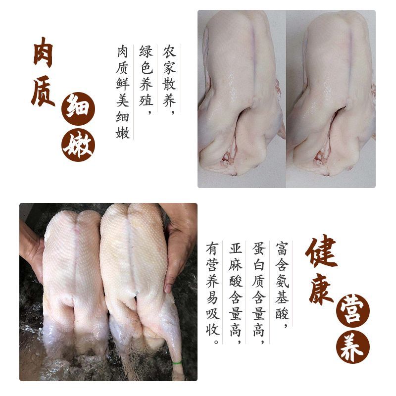 冻鹅冷冻白条鹅批发商用大鹅新鲜速冻光鹅一整箱烧鹅专用鹅肉