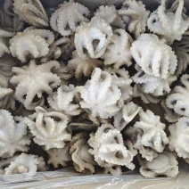 迷你小章鱼