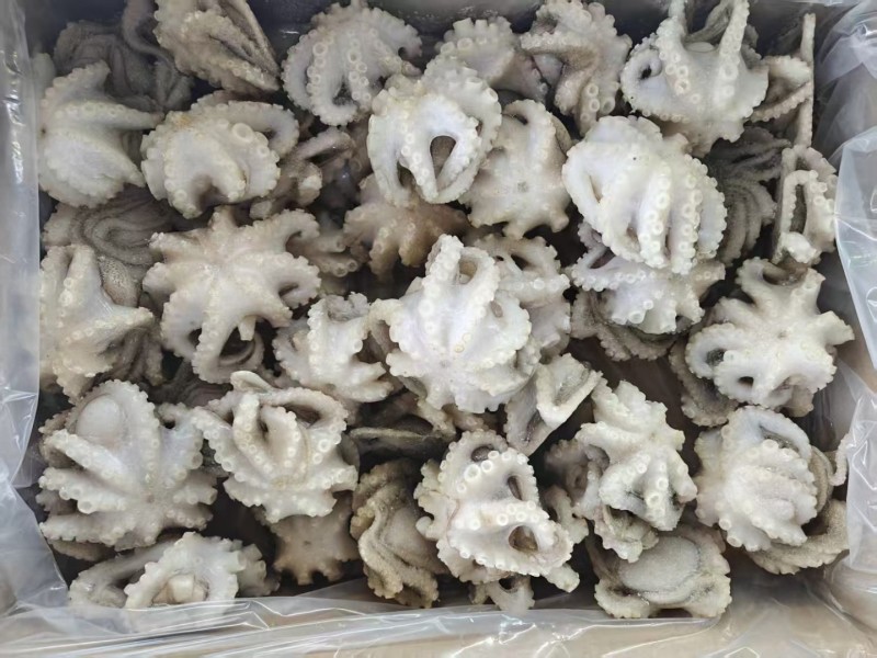翻花小章鱼