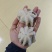 翻花小章鱼