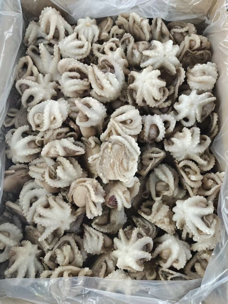 翻花小章鱼