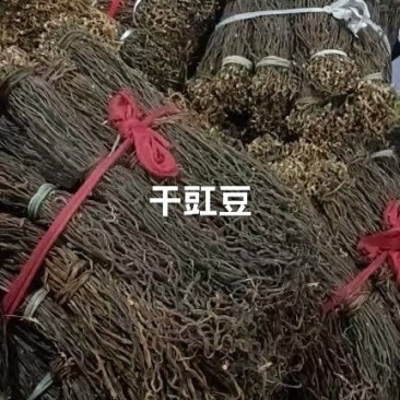 陕南常年大量供应优质干豇豆早期长条货挑选货可以一件代发