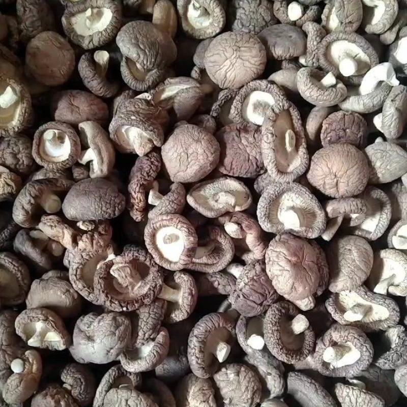 河北香菇干香菇产地直大量上市发耐储存易运输对接全国供应