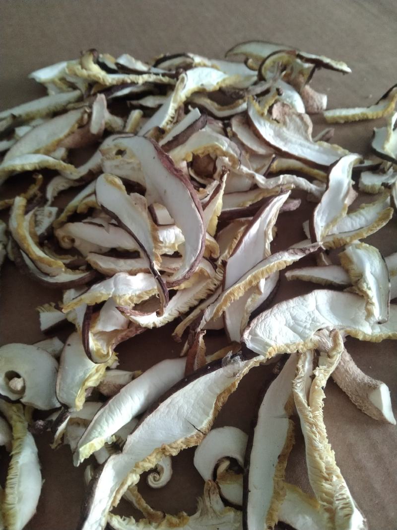 河北香菇干香菇产地直大量上市发耐储存易运输对接全国供应