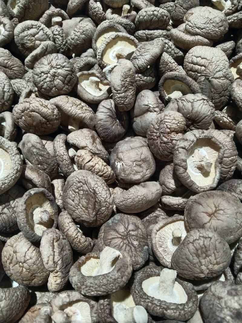 河北香菇干香菇产地直大量上市发耐储存易运输对接全国供应