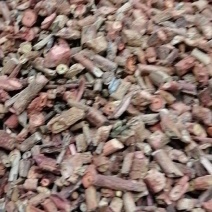 茜草各种中药材中药饮片，做药材我们只做正品