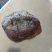 鸡宝