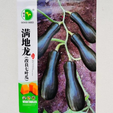 满地龙改良七叶瓜种子早熟高产抗病小南瓜种籽四季播甜糯南瓜