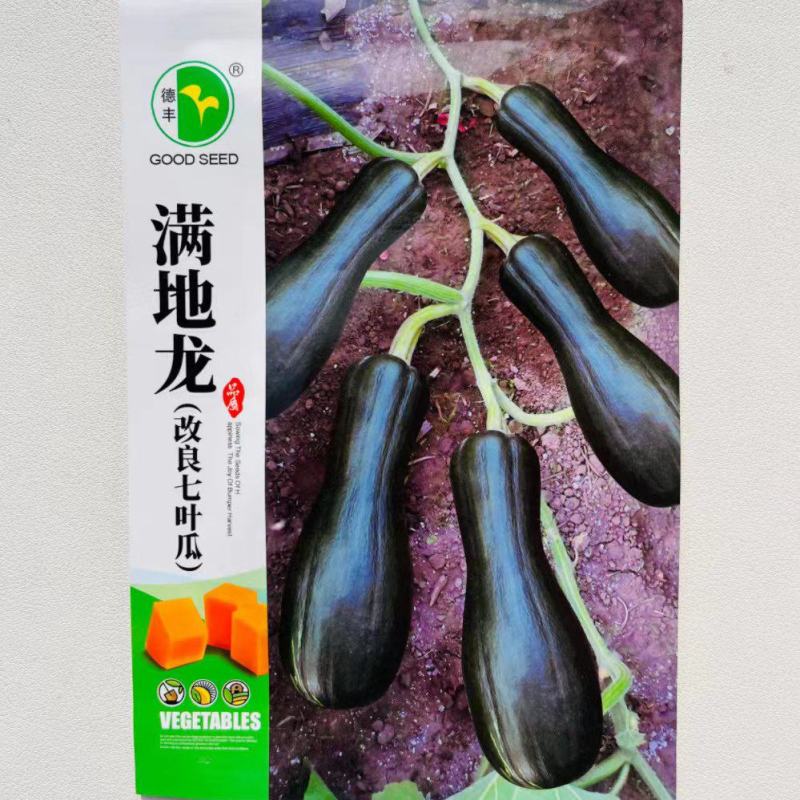 满地龙改良七叶瓜种子早熟高产抗病小南瓜种籽四季播甜糯南瓜