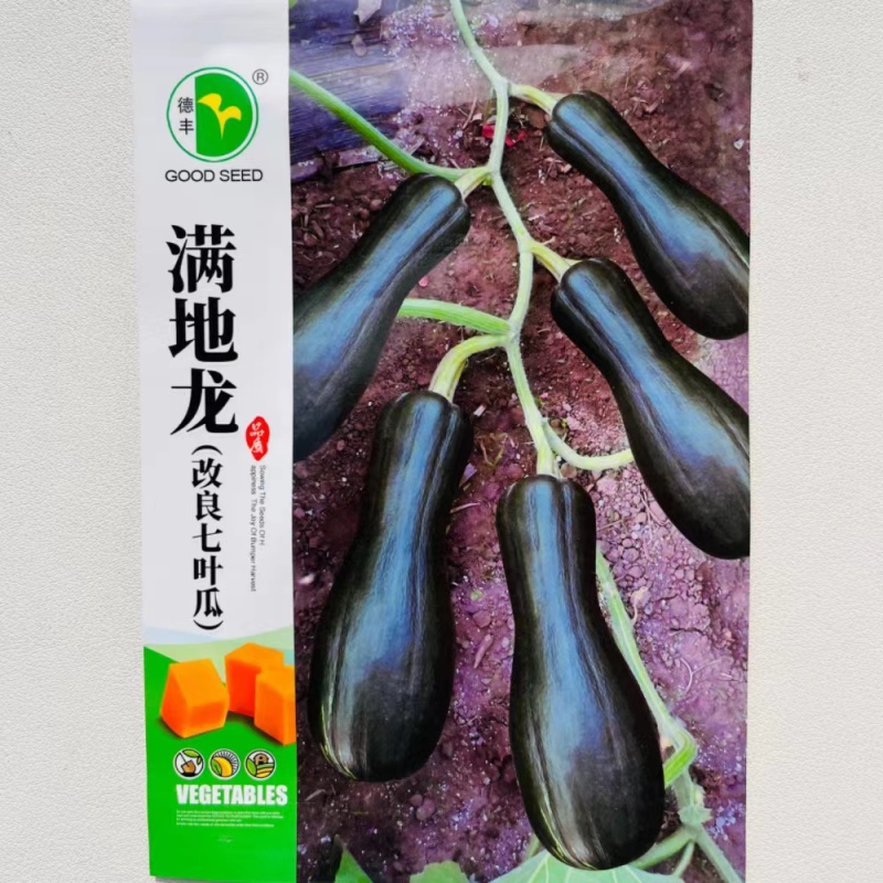 满地龙改良七叶瓜种子早熟高产抗病小南瓜种籽四季播甜糯南瓜