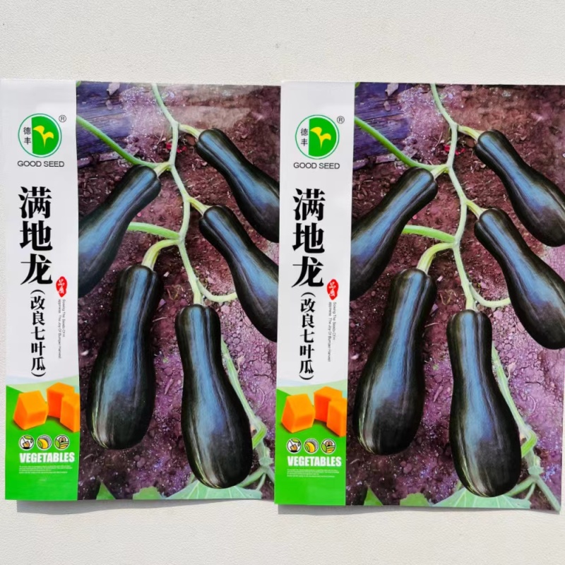 满地龙改良七叶瓜种子早熟高产抗病小南瓜种籽四季播甜糯南瓜