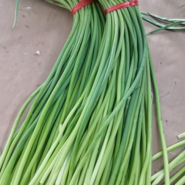 大量便宜蒜苔，太便宜了