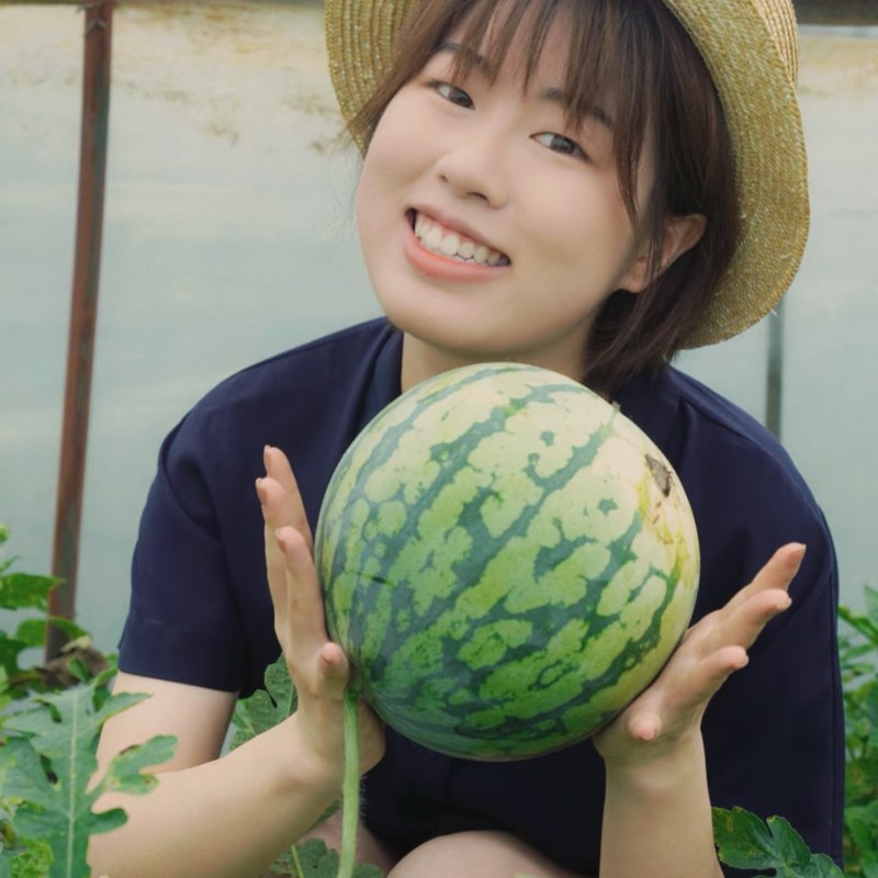 精品麒麟西瓜大量上市保熟保甜，对接批发市场超市等