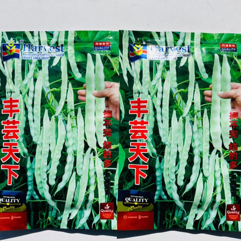 丰芸天下四季豆种子抗病高产早熟绿白架豆菜豆种籽农家春秋季