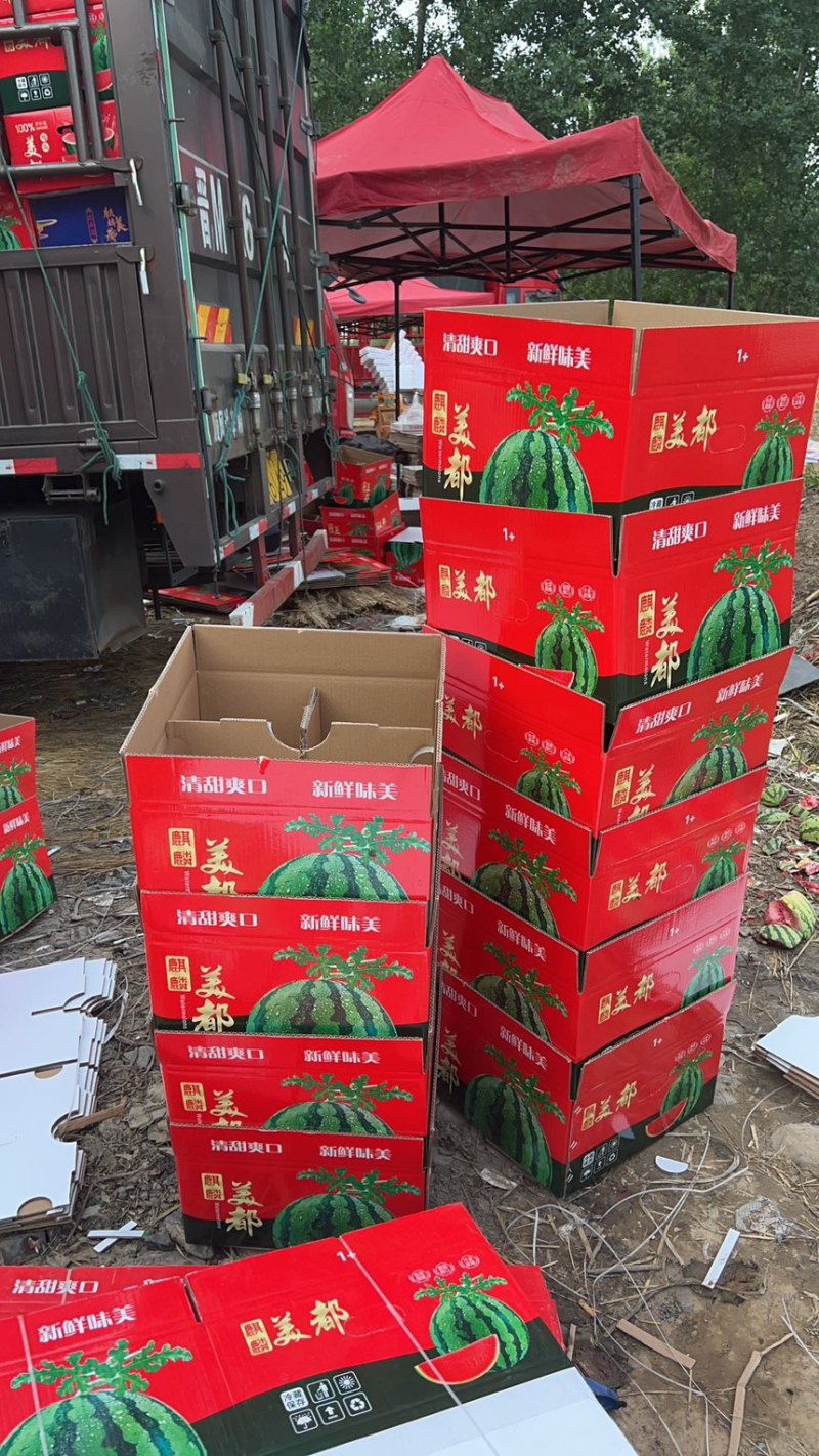 精品麒麟西瓜大量上市保熟保甜，对接批发市场超市等