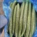 密刺黄瓜，品质保证，产地直发，价格优惠，可视频看货沟通