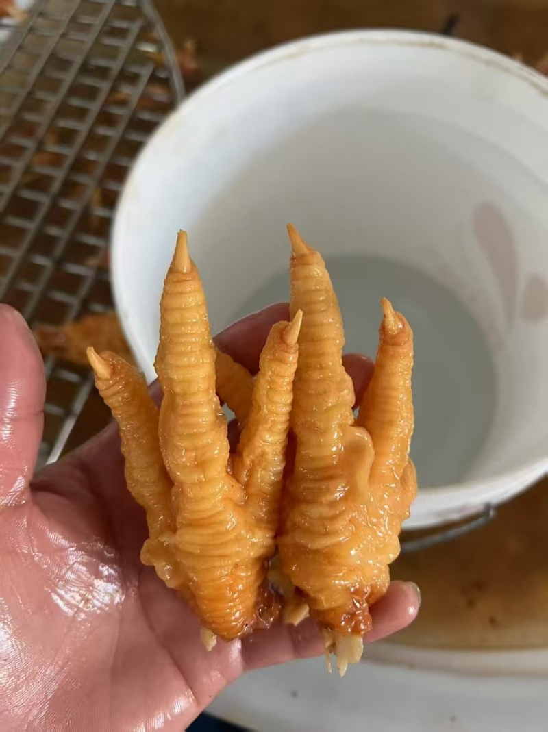 虎皮鸡爪凤爪（商用无腌制）