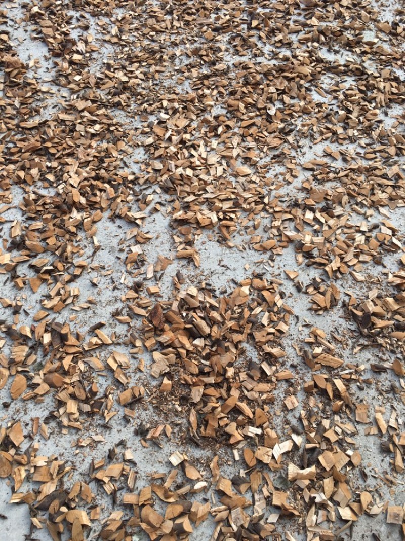 老鹰茶