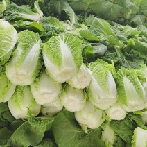 黄心娃娃菜