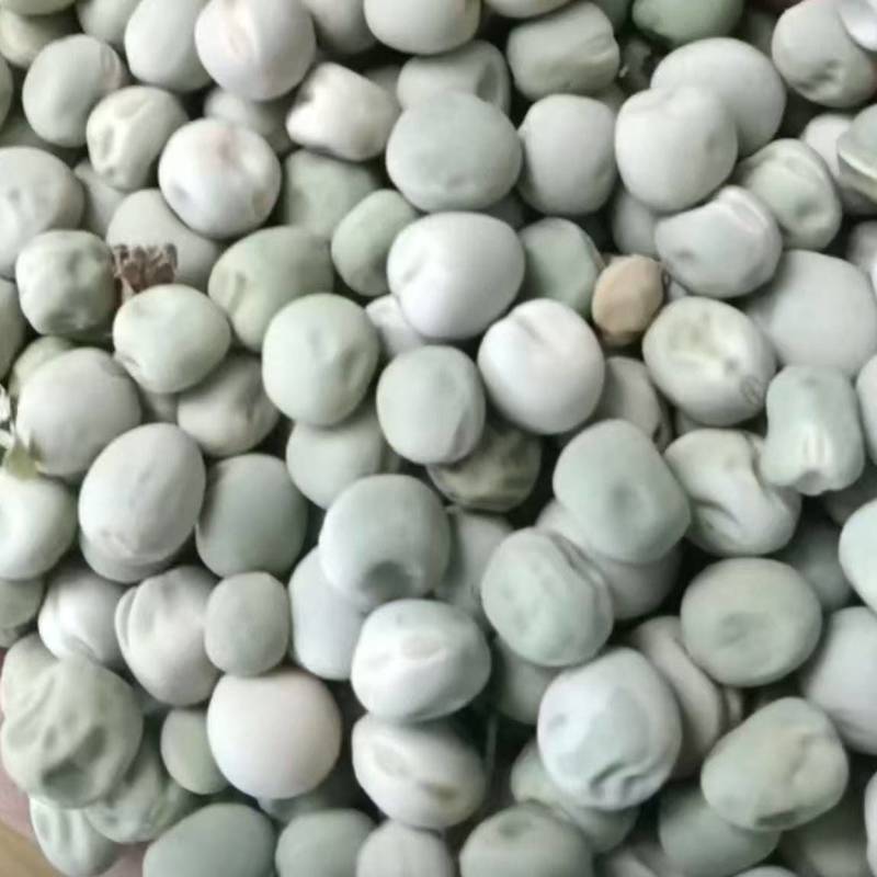 豌豆干粒，豌豆米，干豌豆籽，大量上市，河南产地直发