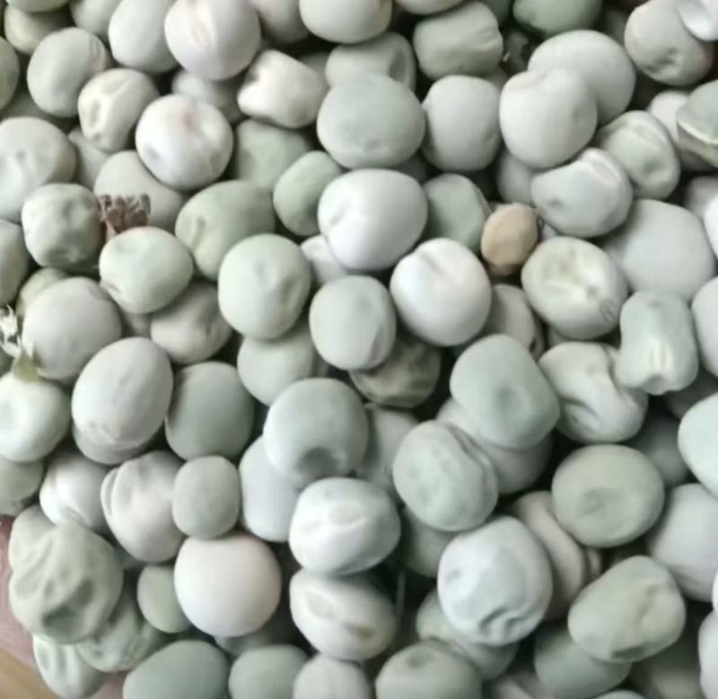 豌豆干粒，豌豆米，干豌豆籽，大量上市，河南产地直发