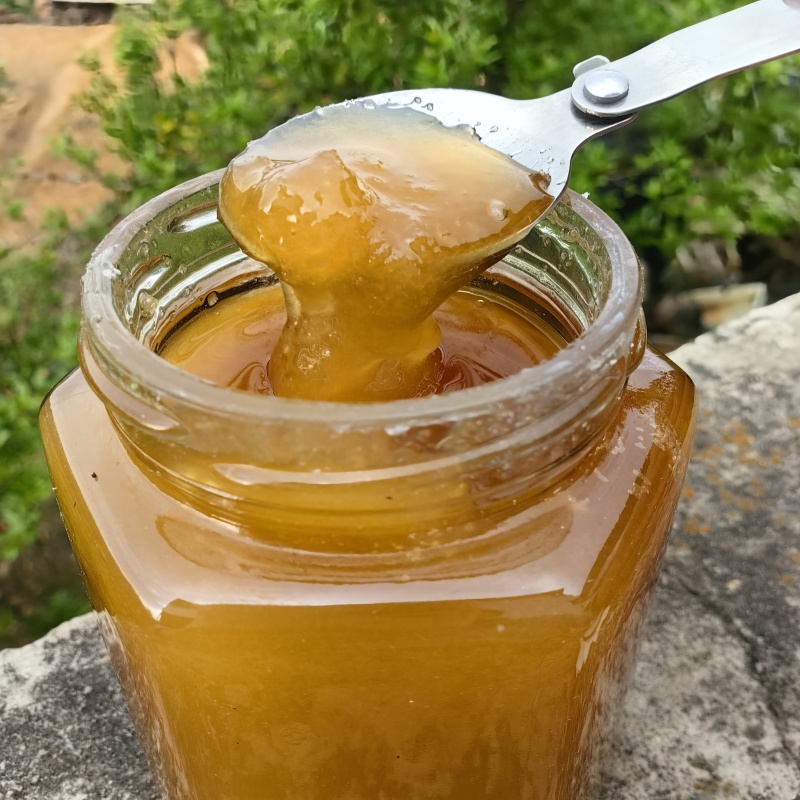 云南野生蜂蜜树挂蜜120/斤包邮