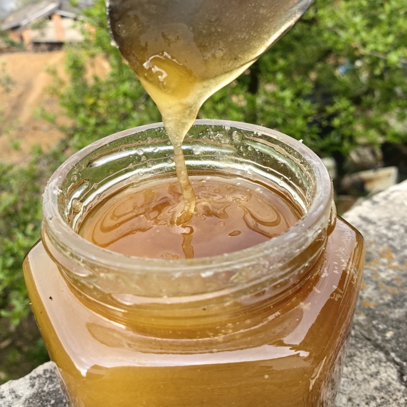 云南野生蜂蜜树挂蜜120/斤包邮