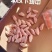 鸡翅中规格30下！美味佳肴**食材！为你的健康保驾护航