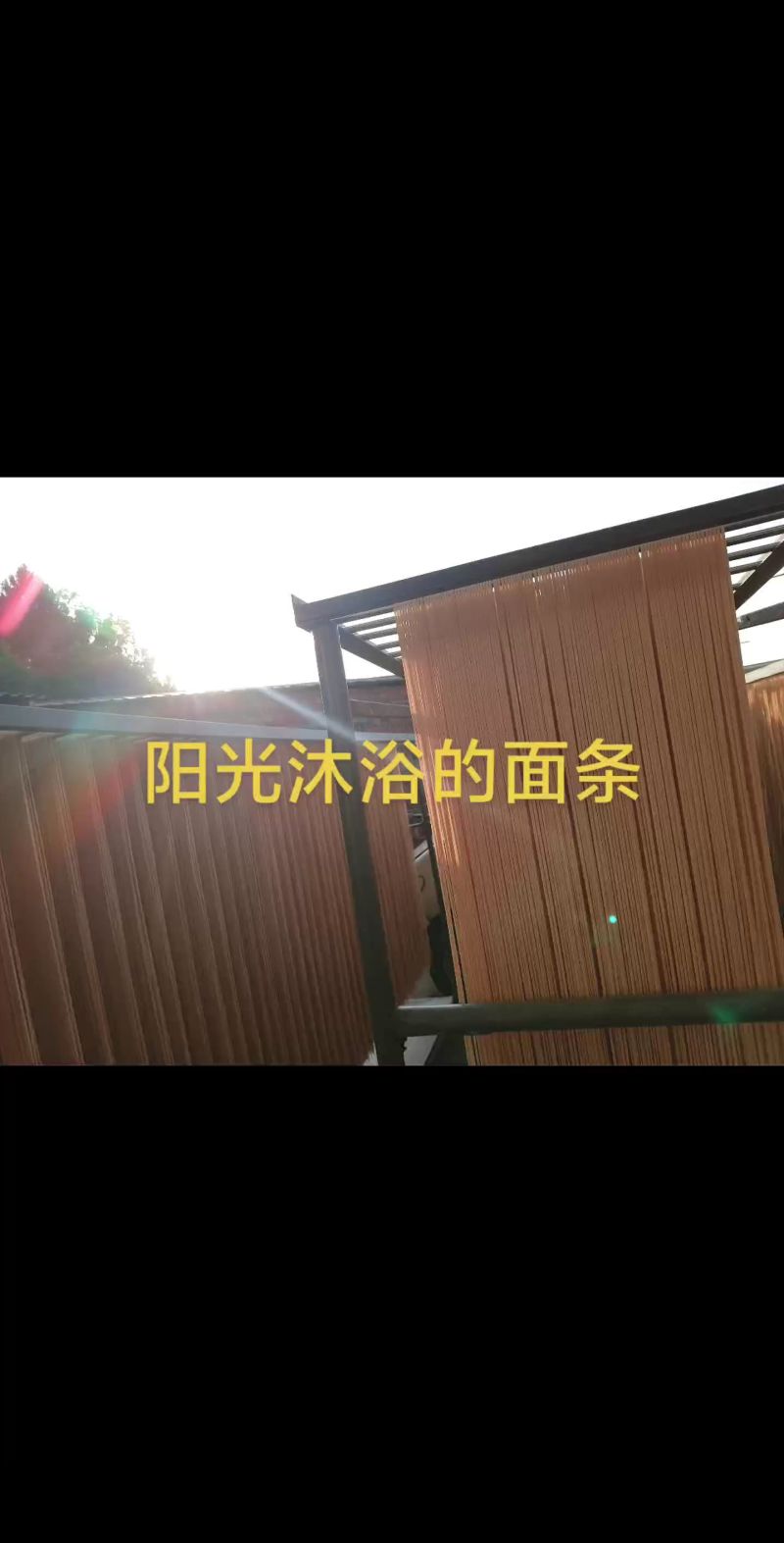 西华山久久传统挂面手工挂面，自家生产，口感劲道爽滑