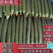精品密刺黄瓜，品质保证，产地直发，价格优惠