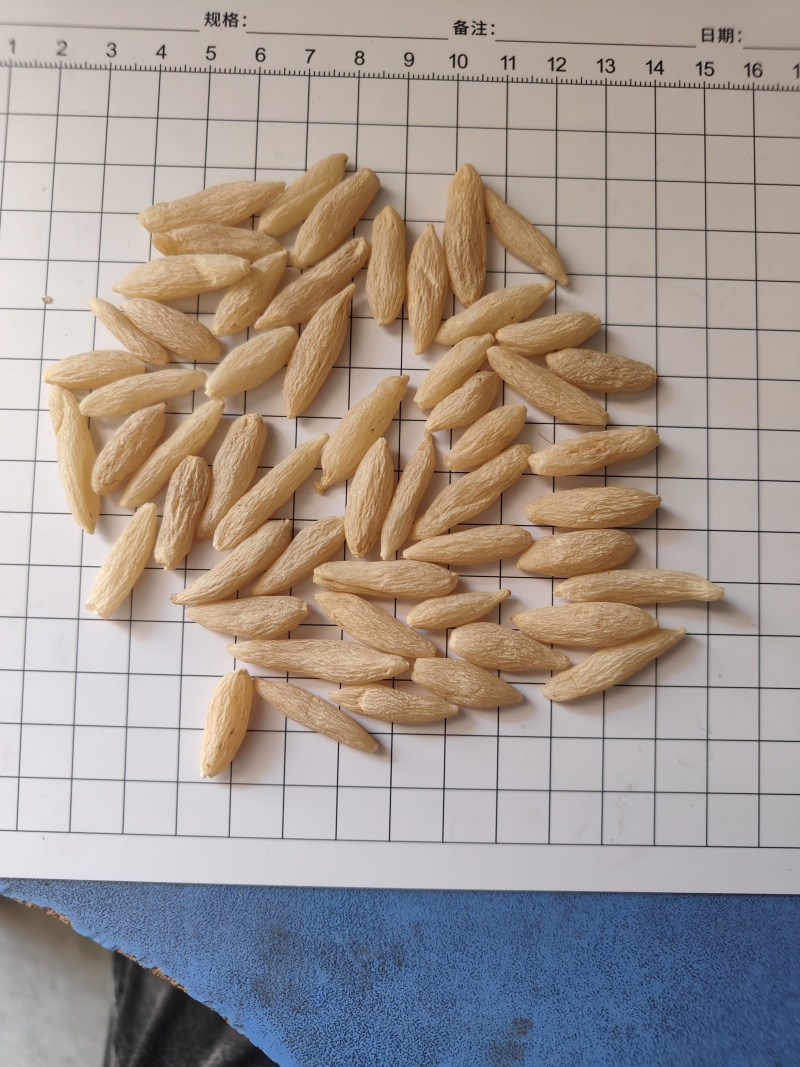川麦冬批发，各种规格可订，长年大货供应品质保障
