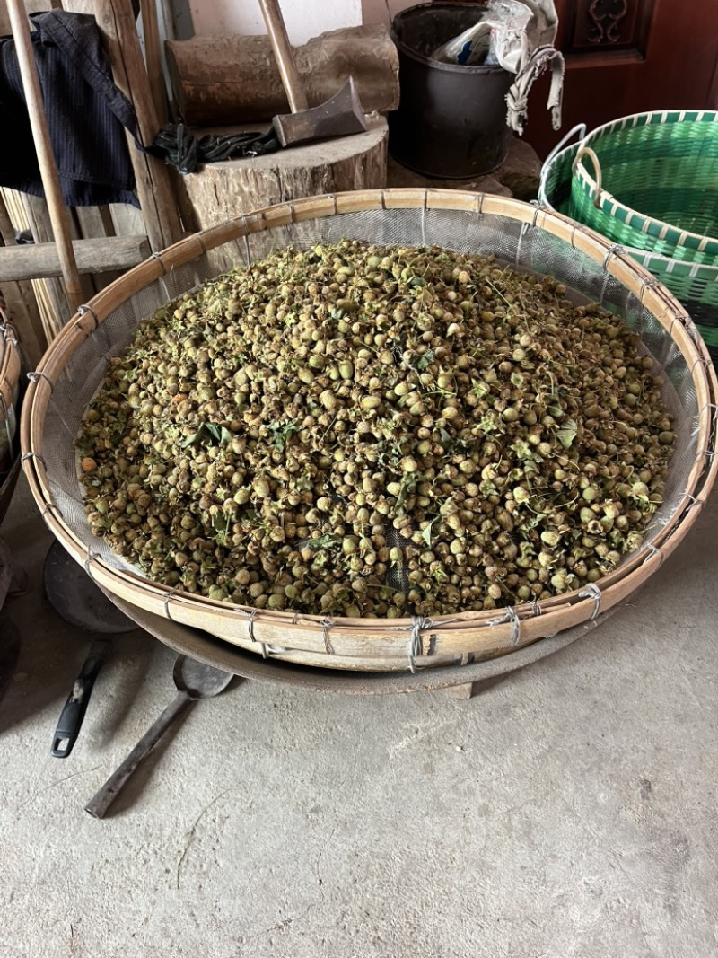 覆盆子，中药材