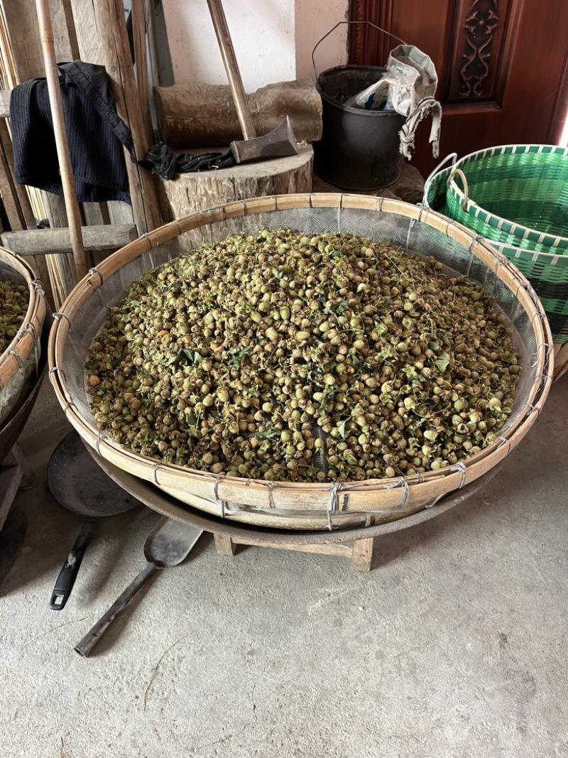 覆盆子，中药材