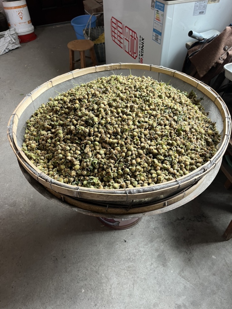覆盆子，中药材