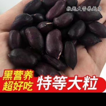 花生米可零售一手货源新货上市对接电商一件代发
