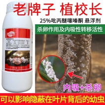 老牌子植校长25%吡丙醚噻嗪酮柑橘木虱蚧壳虫内吸和杀