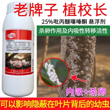 老牌子植校长25%吡丙醚噻嗪酮柑橘木虱蚧壳虫内吸和杀