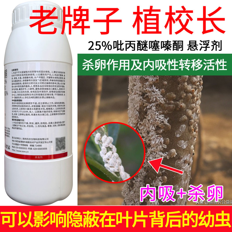 老牌子植校长25%吡丙醚噻嗪酮柑橘木虱蚧壳虫内吸和杀