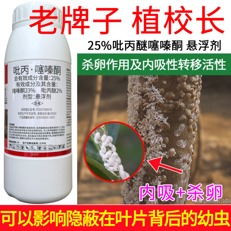 老牌子植校长25%吡丙醚噻嗪酮柑橘木虱蚧壳虫内吸和杀