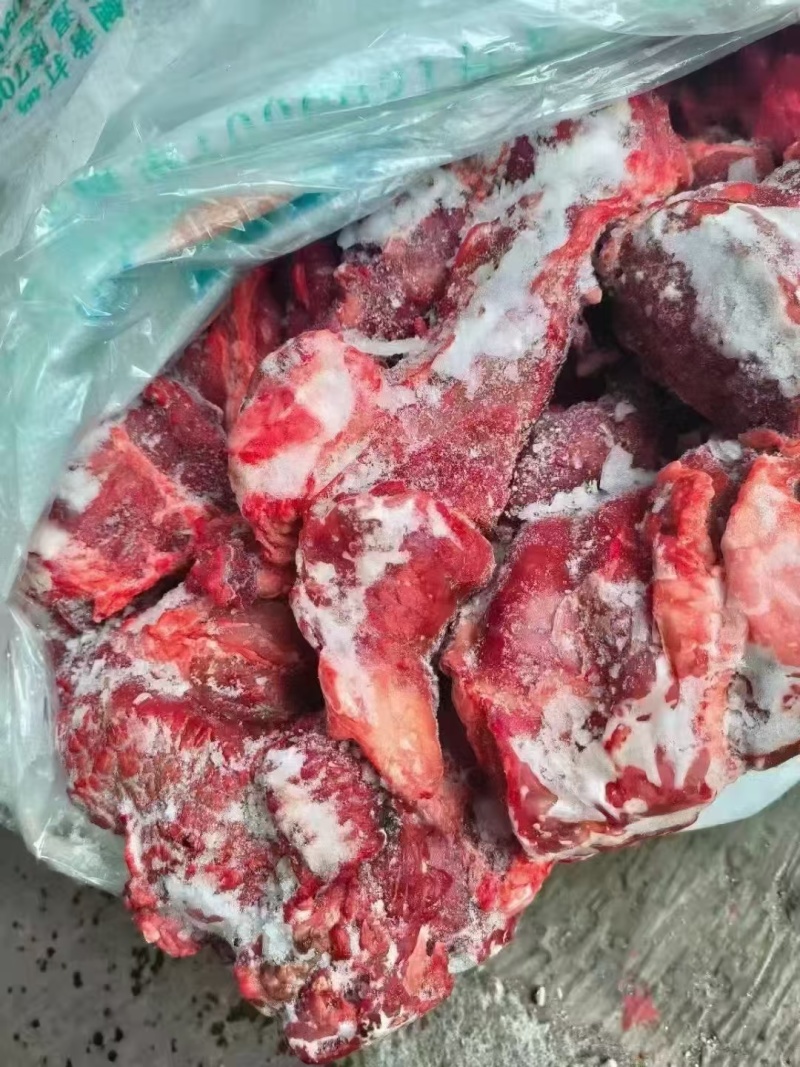 牛鞭根生鲜烧烤火锅牛鞭根肉牛杂新鲜牛鞭根肉货源稳定批发