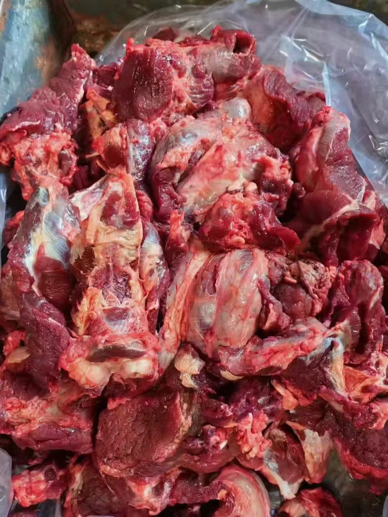 牛鞭根生鲜烧烤火锅牛鞭根肉牛杂新鲜牛鞭根肉货源稳定批发