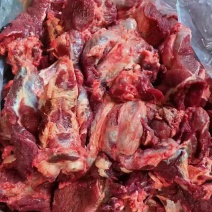 牛鞭根生鲜烧烤火锅牛鞭根肉牛杂新鲜牛鞭根肉货源稳定批发