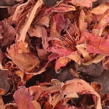 木棉花新货干货木棉花无硫，原汁原味让您喝到大自然味道