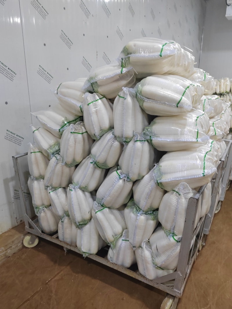 水洗白萝卜散装打包有冷库，一次合作终身朋友