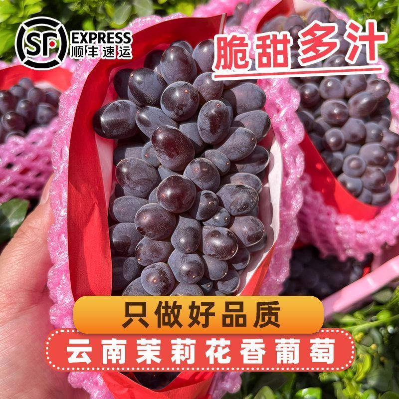 正宗云南茉莉花香葡萄新鲜采摘一整箱3-10串大果顺丰速发葡萄