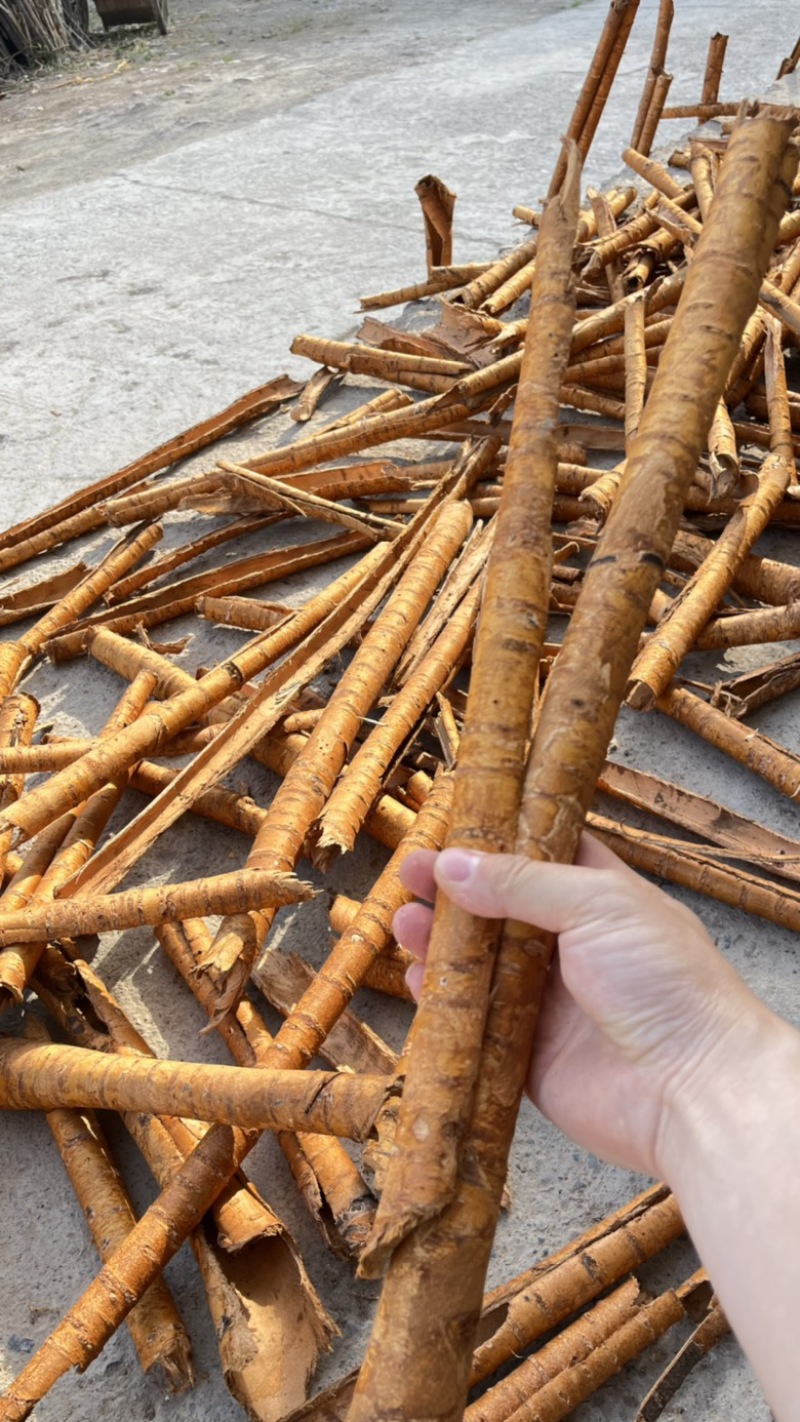 野樱桃树皮
