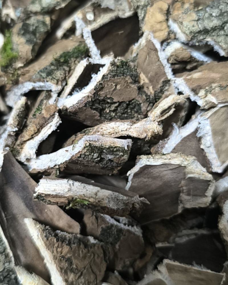 杜仲皮