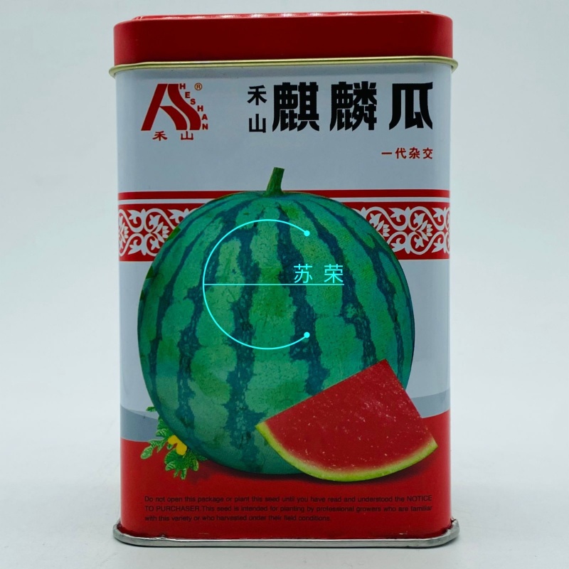 禾山麒麟西瓜种子早熟高糖薄皮瓤色红圆形瓜抗病强西瓜种