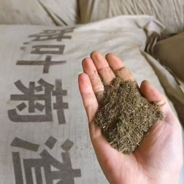 甜叶菊渣，促进吸收，增加免疫力，全国发货。